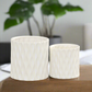 Ceramic Pot Matte Finish