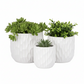 Vyne Ceramic Pot Set (Set of 3)