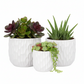 Vyne Ceramic Pot Set (Set of 3)