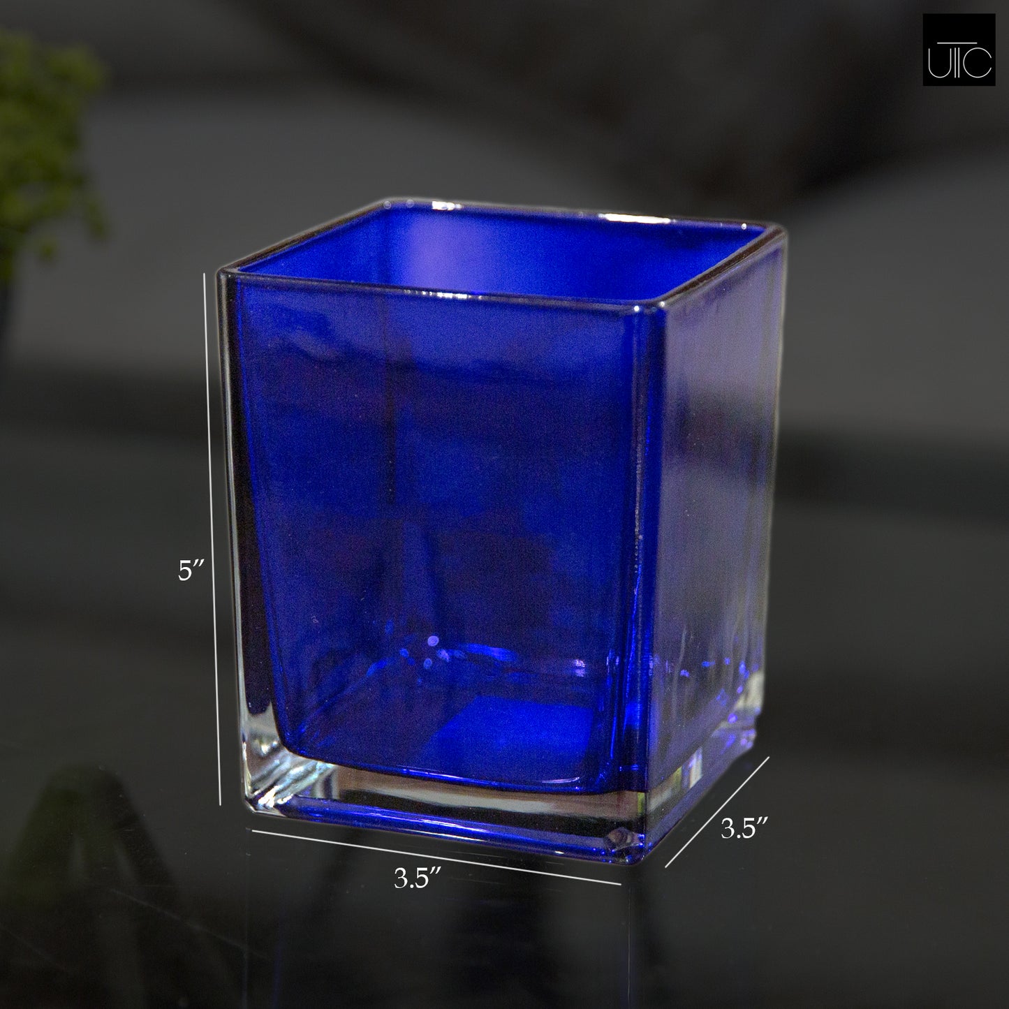 Lizze Clear Glass Cube Vase
