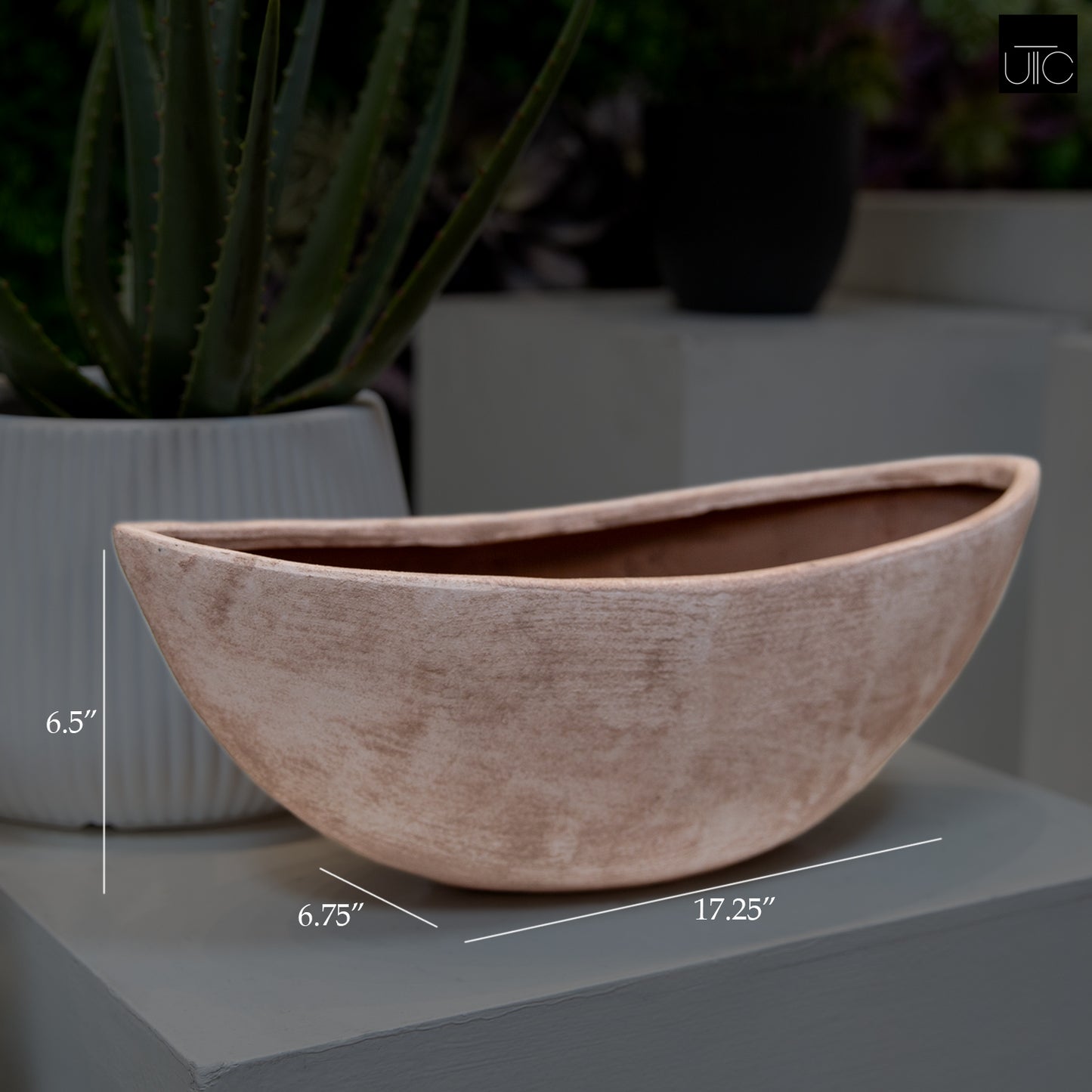 Quenra Lotus Root Planter
