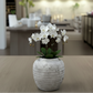 Kira Ribbed Amphora-Style Cement Planter