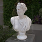 Venus Fiberglass Bust Sculpture