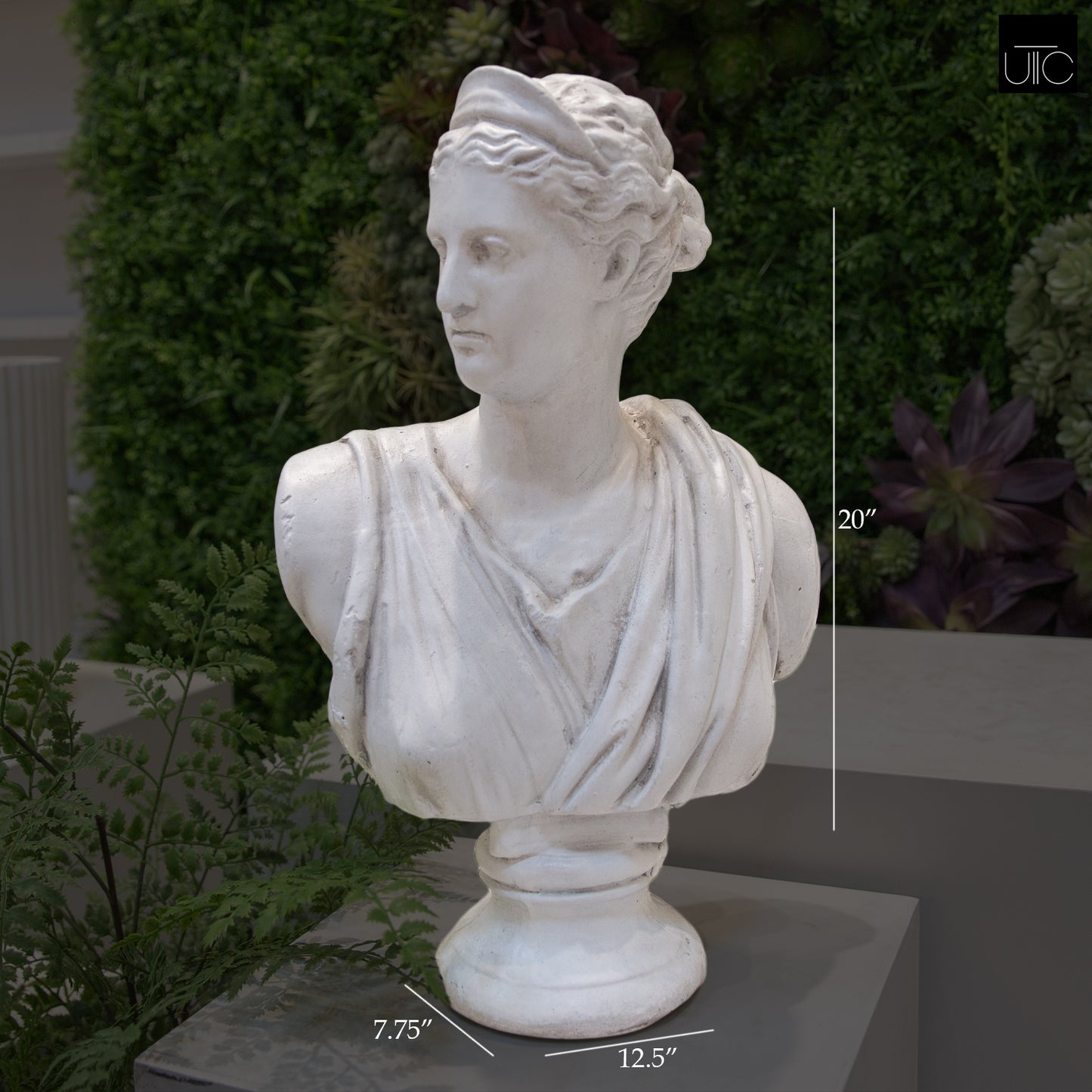 Venus Fiberglass Bust Sculpture