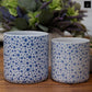 Ceramic Pot Planters Gloss Finish White-5.75"H -91