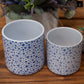 Ceramic Pot Planters Gloss Finish White-5.75"H -91