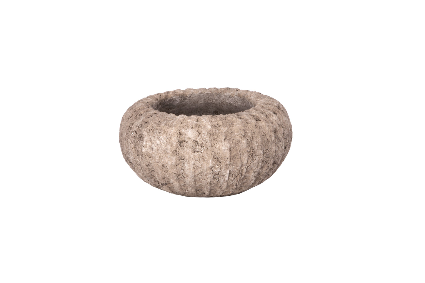 Terracotta Planter