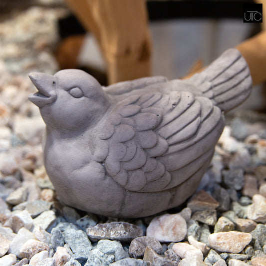 Avenel Upward Gaze Bird Figurine