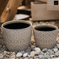 Ceramic Round Pot Gloss Finish Ivory-6.00"H