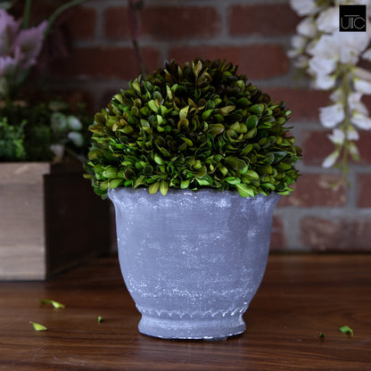 Modern Terracotta Planter with Sculpted Wave Rim