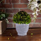 Modern Terracotta Planter with Sculpted Wave Rim