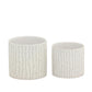 Branwyn White Ceramic Winter Branch Planter Set (Set of 2)