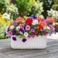 Callan Rectangular Column Design Cement Planter
