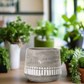 Talia Cement Tribal Round Pot