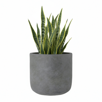 Neyra Terracotta Round Pot