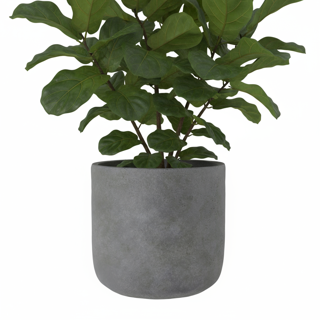 Neyra Terracotta Round Pot