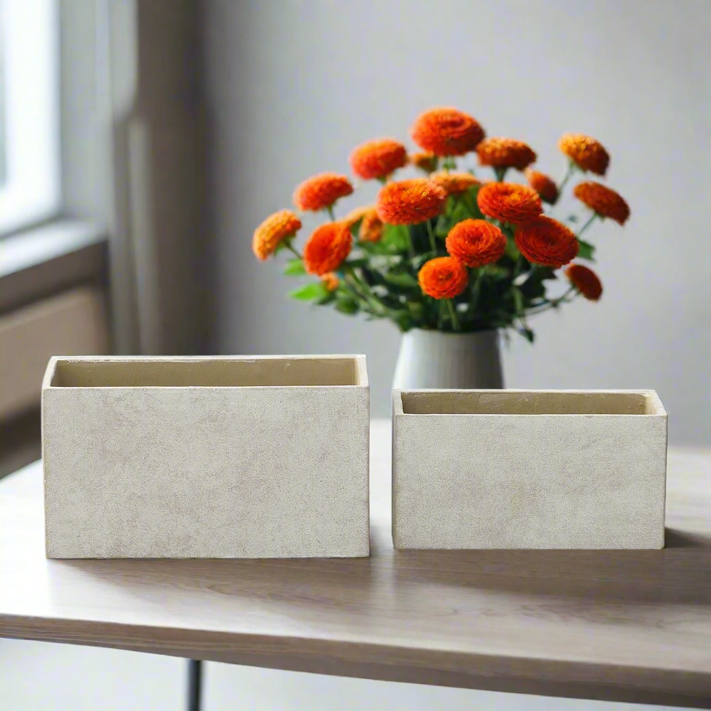 Axenne Light Gray Terracotta Rectangle Pot (Set of 2)