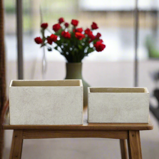 Axenne Light Gray Terracotta Rectangle Pot (Set of 2)