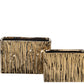 Giselle Golden Rectangular Abstract Vase (Set of 2)