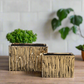 Giselle Golden Rectangular Abstract Vase (Set of 2)