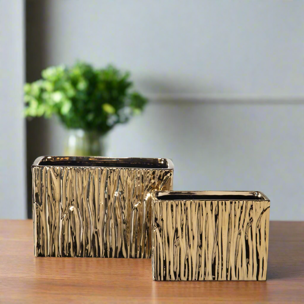 Giselle Golden Rectangular Abstract Vase (Set of 2)