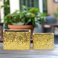 Zerin Golden Abstract Rectangular Vase