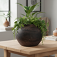 Eliz Terracotta Decorative Pot