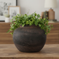 Eliz Terracotta Decorative Pot