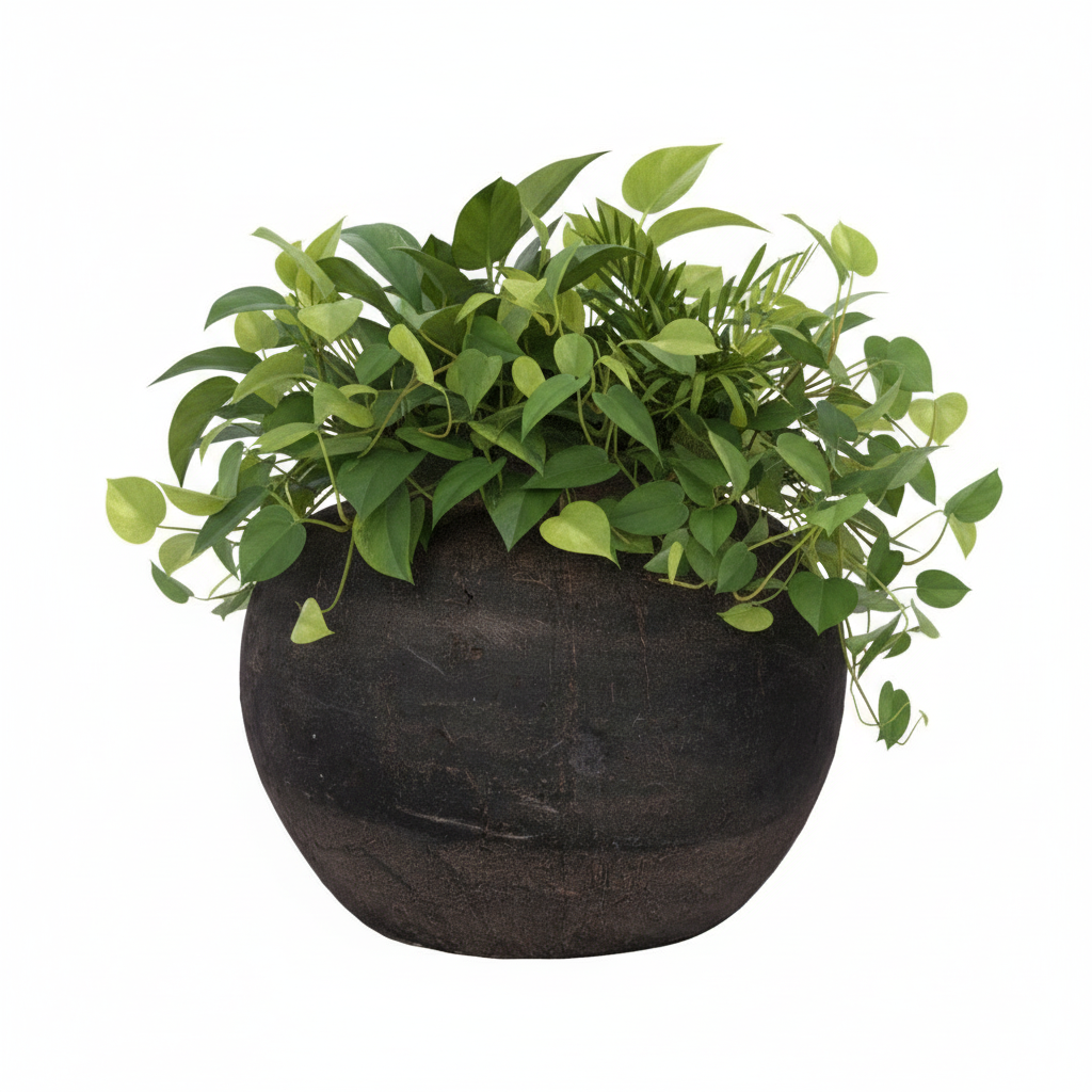 Eliz Terracotta Decorative Pot