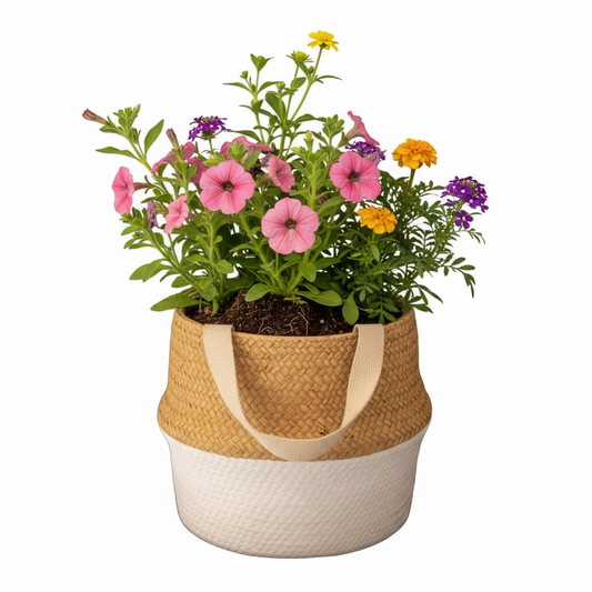 Brennan Round Terracotta Pot with Handle