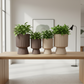 Oksana Ribbed Stoneware Vase with Tapered Pedestal Base