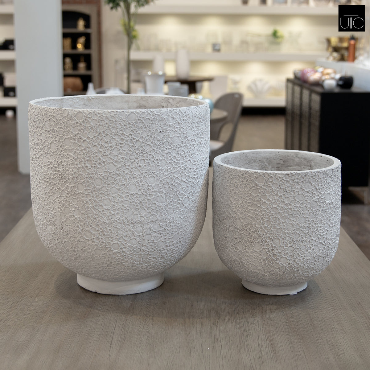 Irina Cylinder Planters with Pedestal Base (Set of 2)