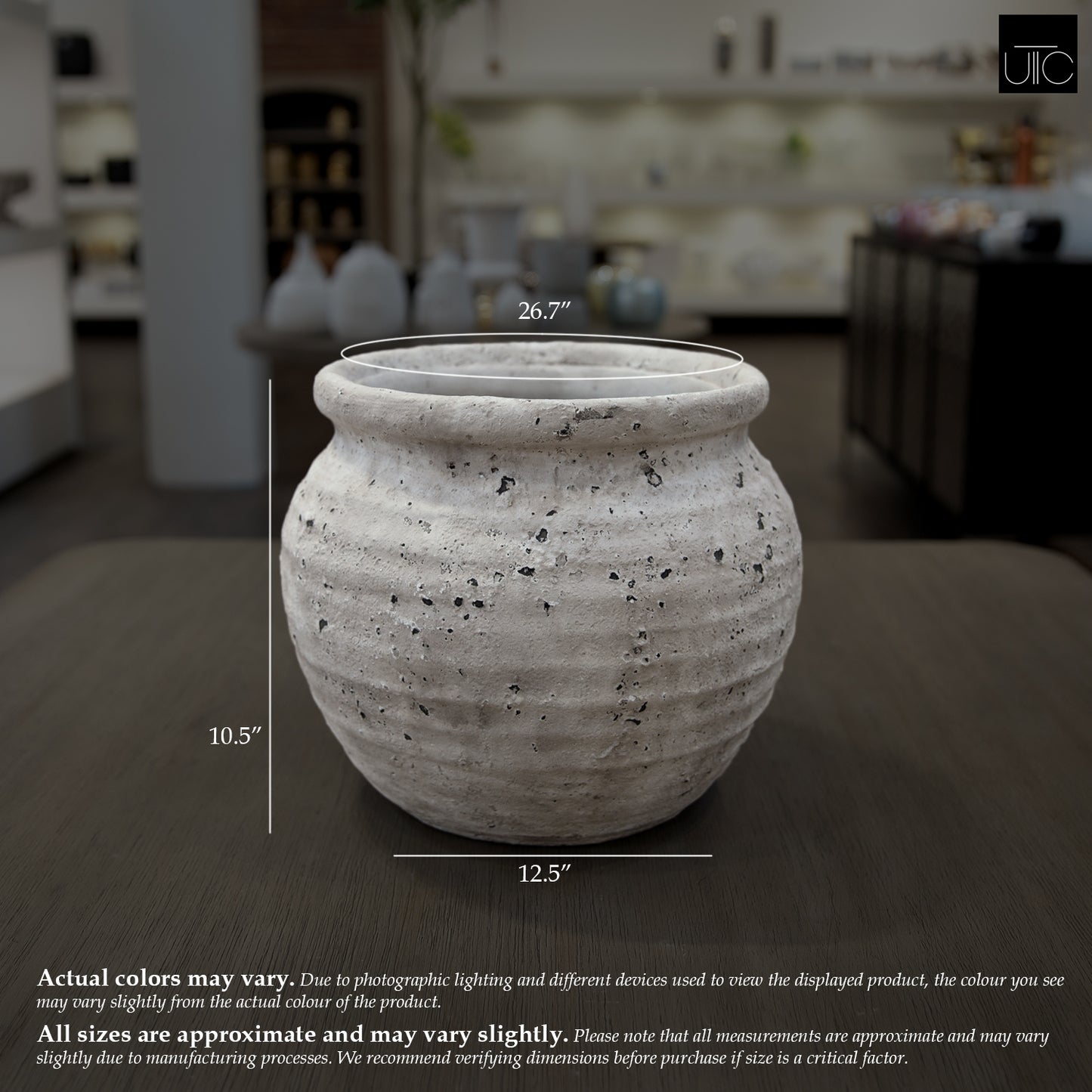 Kamilia Rustic Bell-Shaped Cement Planter