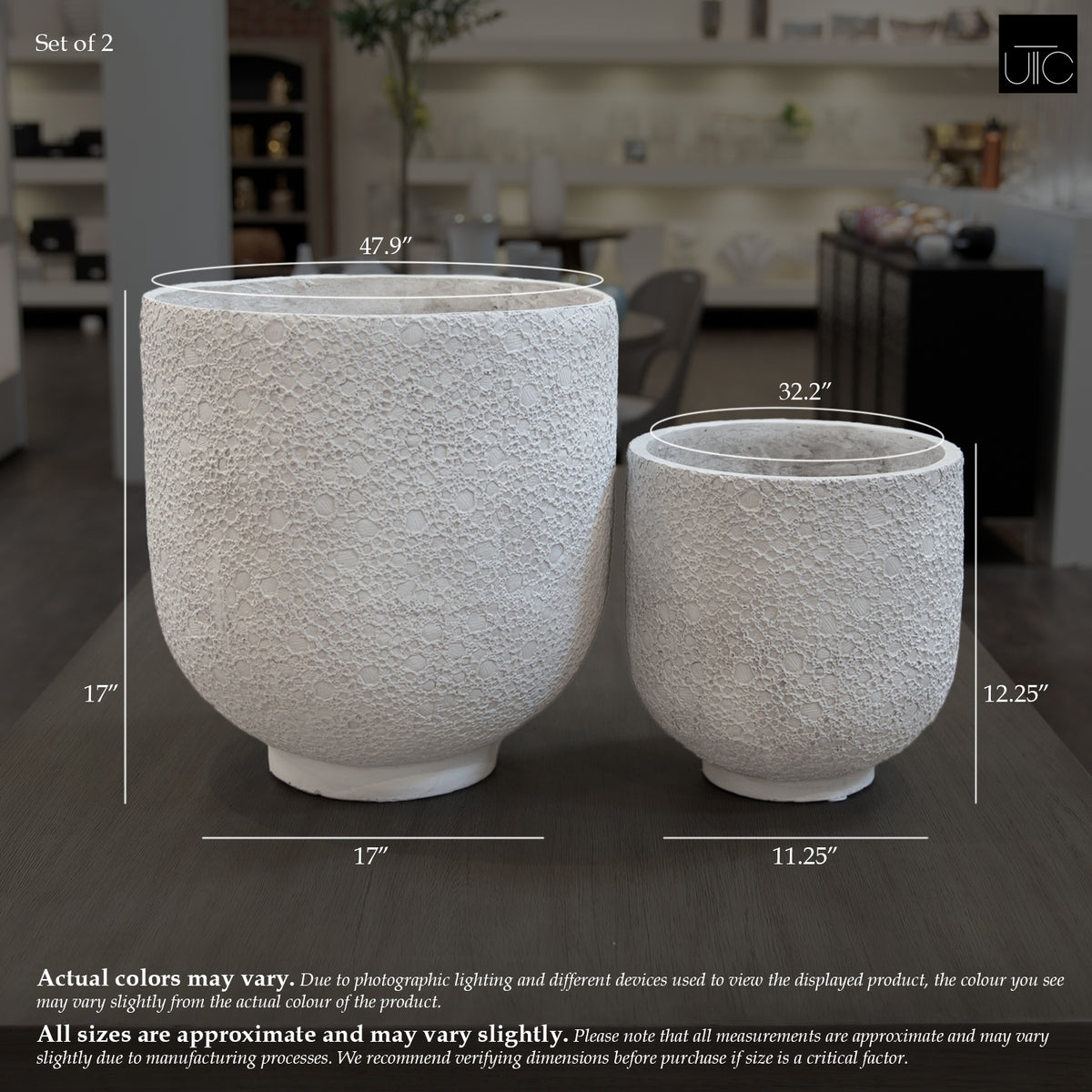 Irina Cylinder Planters with Pedestal Base (Set of 2)
