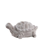 Torren Terracotta Tortoise Figurine