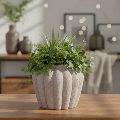 Petunia Terracotta Pot