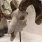 Alvryn Polyresin Goat Head Decor