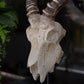 Ormere Polyresin Goat Head Decor