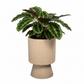 Oksana Ribbed Stoneware Vase with Tapered Pedestal Base