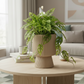 Oksana Ribbed Stoneware Vase with Tapered Pedestal Base