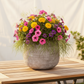Larysa Ribbed Cement Planter