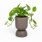 Feya Sculpted Stoneware Pot with Pedestal Base