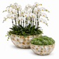 Two round mosaic planters on a white background, one filled with white orchids and green foliage, and the other with green succulents.
