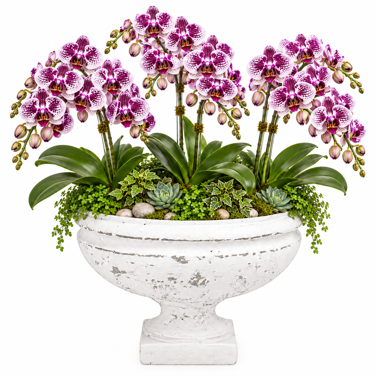 Weston Cement Urn Planter