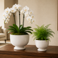 Kerry Ceramic White Pedestal Planter