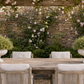 A rustic outdoor dining scene featuring a weathered wooden table with four white cushioned chairs under a wooden pergola adorned with climbing roses and greenery, with two large white urn planters on the table.