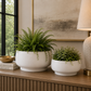 Alera Ceramic Round Planter
