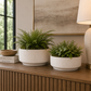 Alera Ceramic Round Planter