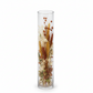 Silvon Clear Glass Cylinder Vase