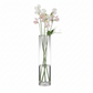 Miri Clear Glass Cylinder Vase